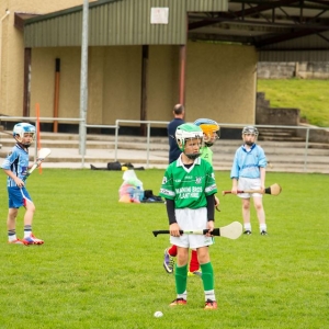 Slashers_Hurling_Blitz_20.07.2014_8