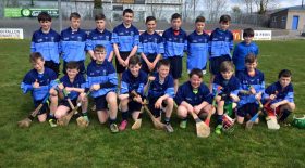 Hurling Club Notes – Feile na nGael