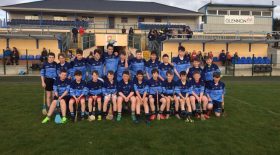 Hurling Club Notes